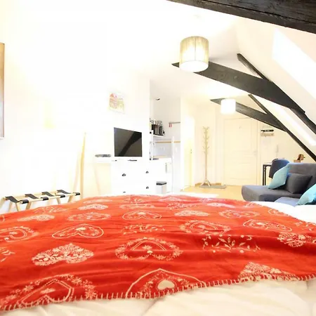 Colmar Historic Center - Cosy Studio Petit Cathedrale 1 - Bookingalsace-2