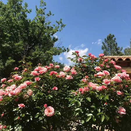 Le Clos des Cigales-2