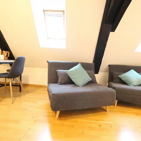 Colmar Historic Center - Cosy Studio Petit Cathedrale 1 - Bookingalsace-3