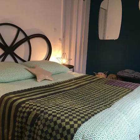 Appartement au cœur de Saint Gaudens-2