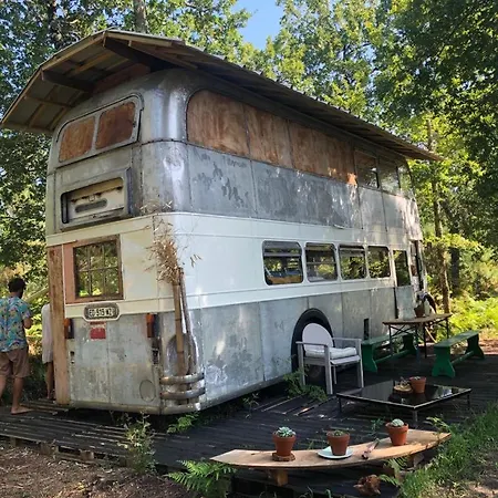 Cosmic English Bus 2 Floor-2