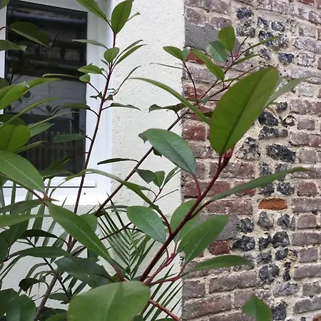 Le HWell-3