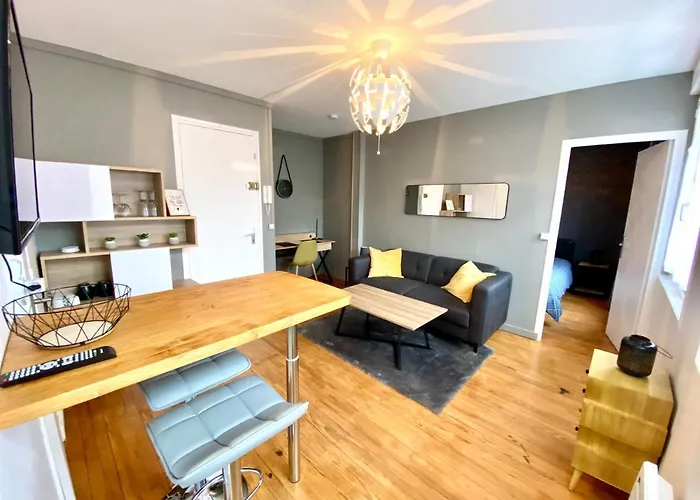 6- Appartement De 2 Pieces Refait A Neuf En Centre Ville