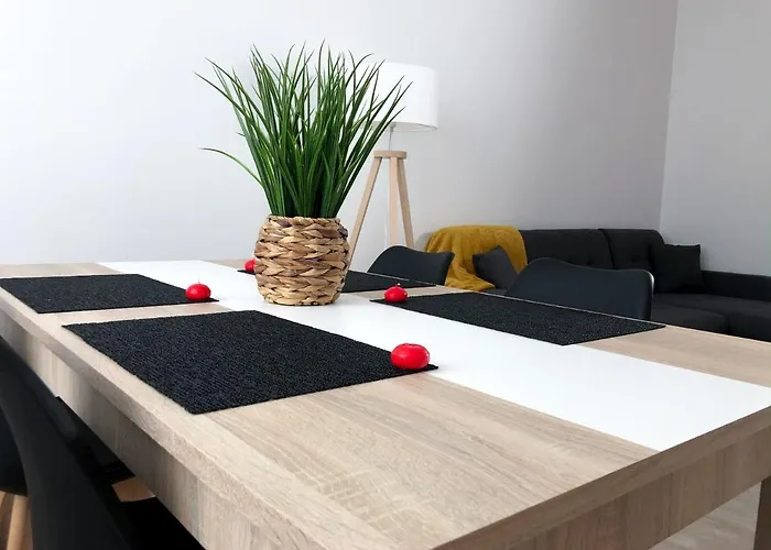 Grand appartement fonctionnel proche centre-ville