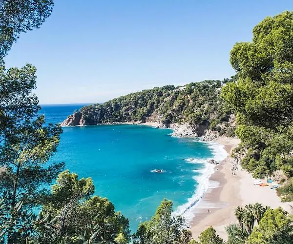 Hôtel de plage: Camping Cala Llevado