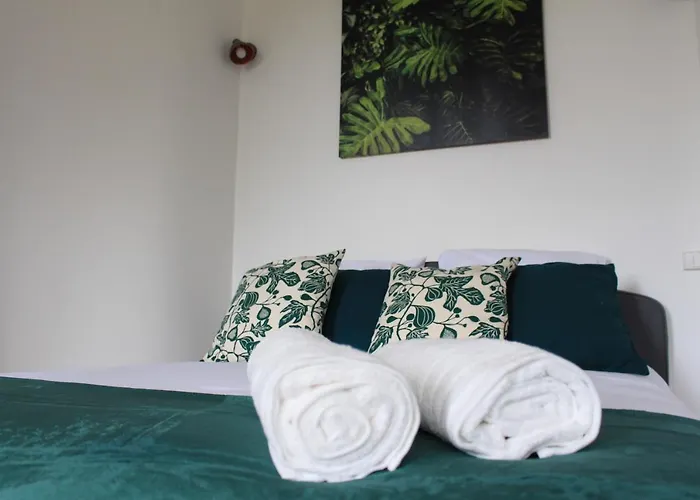 Paul Sabatier-T1-Vue Sur Jardin-Luxe-Wifi-Fi-Velo