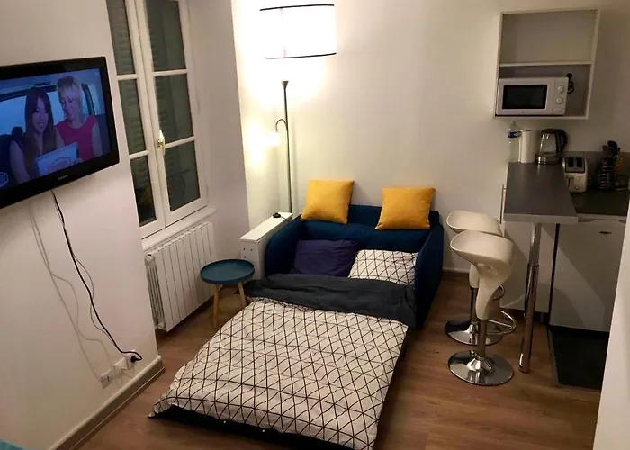 Chaleureux Appartement En Centre Ville De Poitiers
