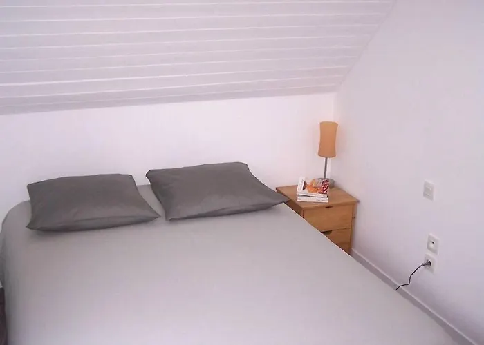Maison avec jardin clos. Animaux acceptés - Wifi - Proche plages de la Trinité sur Mer et Carnac