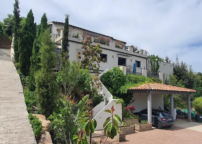 Appartement F2 Avec Terrasse De 35 M2 Bomorto - Porticcio