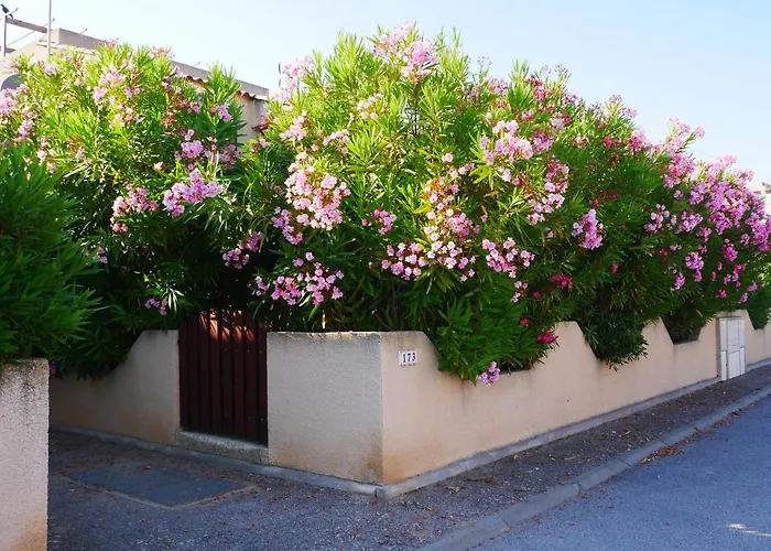 Lagon 173 - Maison De Vacances - 3