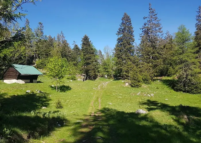 Suites Du Lac