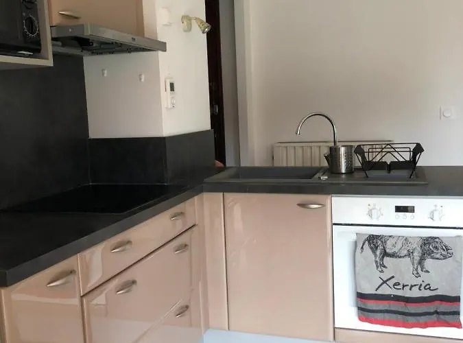 Appartement cosy, en rez de chaussée, en plein centre de CAmbo les Bains