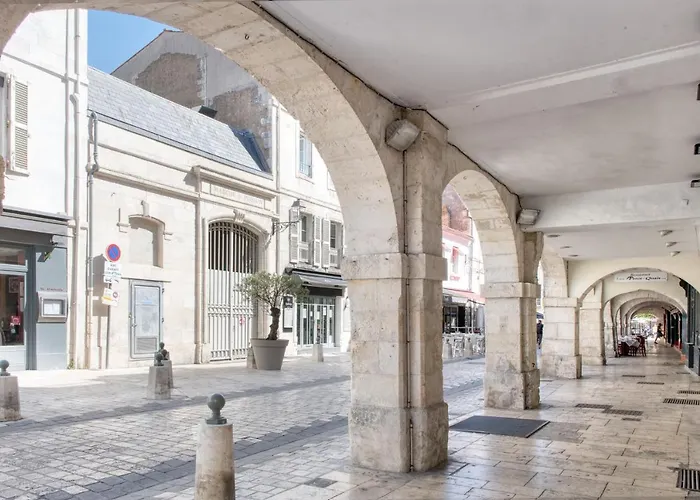 Le Perroquet de La Rochelle