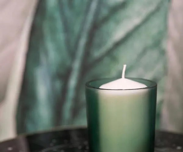 Le cocon d'Angela - Périgueux - Parking privé