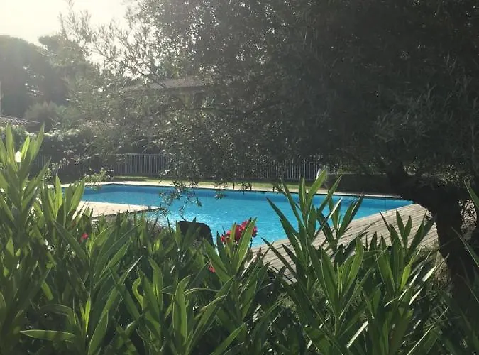 Appt T2 Standing avec Piscine et Terrasse