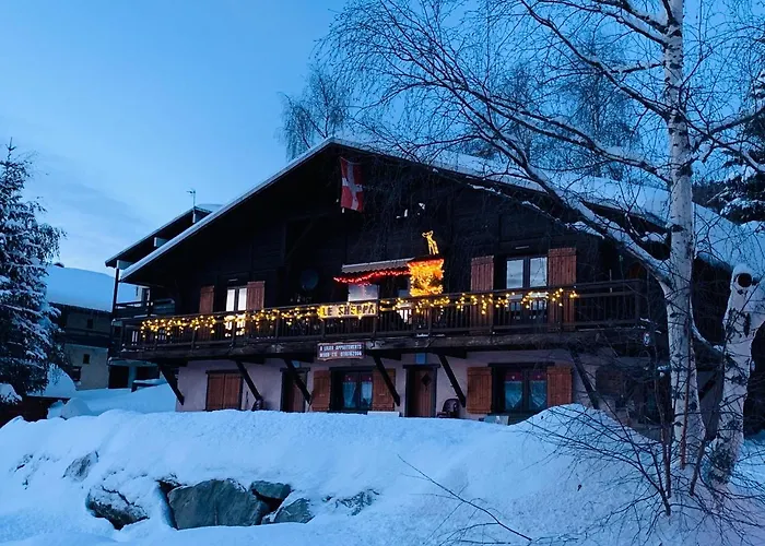 APPARTEMENT PLEIN SUD AUX SAISIES n3