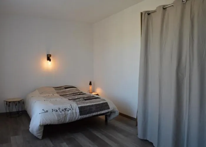 Le Dauphin- Appartement Avec Vue Mer