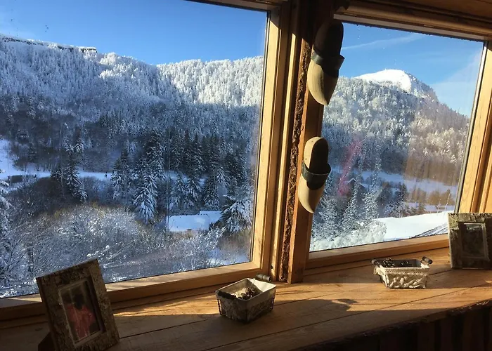 Appartement chalet Bellevue-pied de la montagne - Mont Dore
