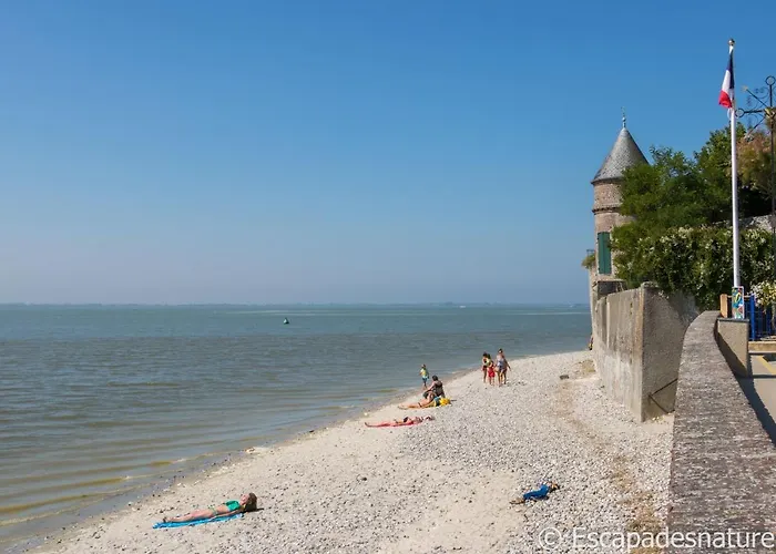 Le Crotoy plage Baie de somme appartement l'Avocette