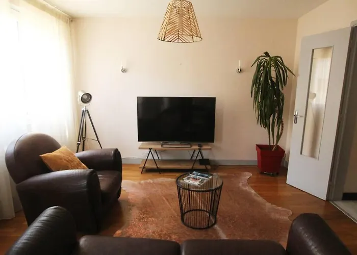 Le Mary - Grand F3 Cosy Centre Clermont-Ferrand Avec Garage