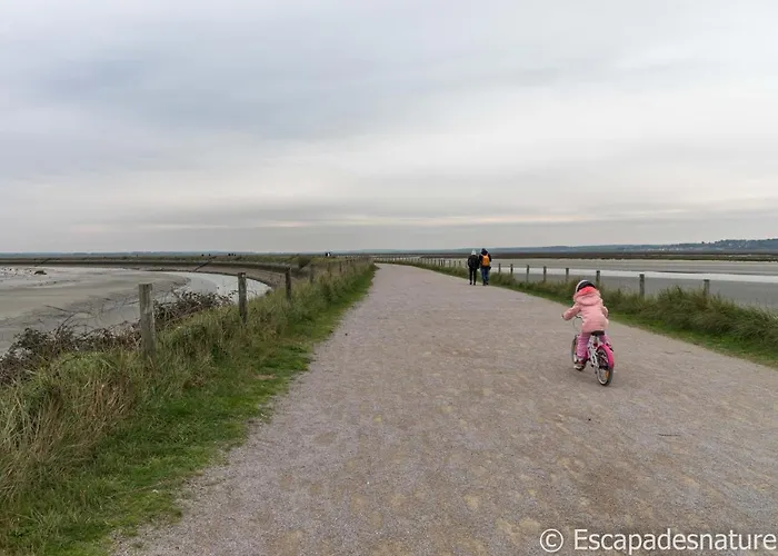 Le Crotoy plage Baie de somme appartement l'Avocette