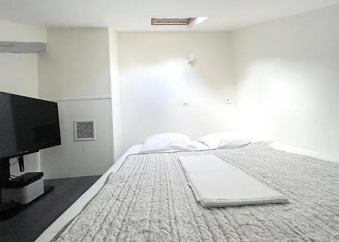 L'IDEAL 9 (hypercentre avec terrasse)