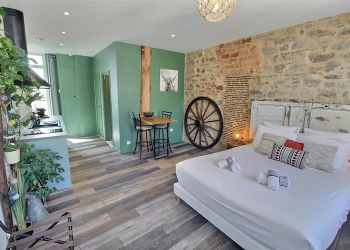 Appartement Centre-Ville Avec Terrasse Rustique