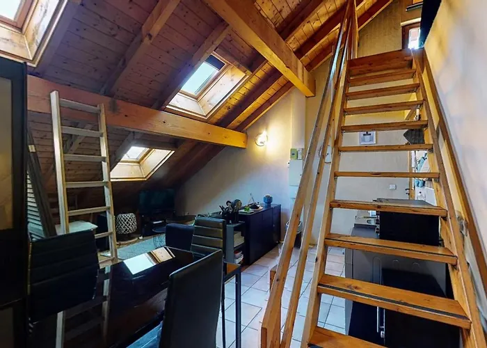 Duplex Cactus 4 People In The Centre Of Annecy 100 Meters From The Lake