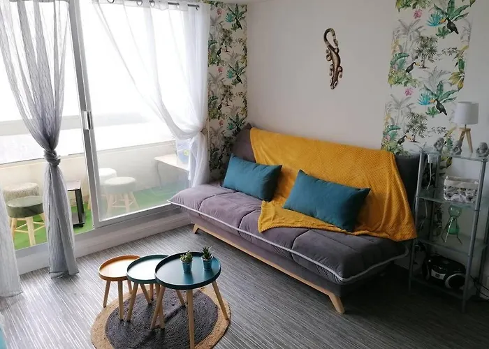 Studio 150M De La Plage Des Demoiselles