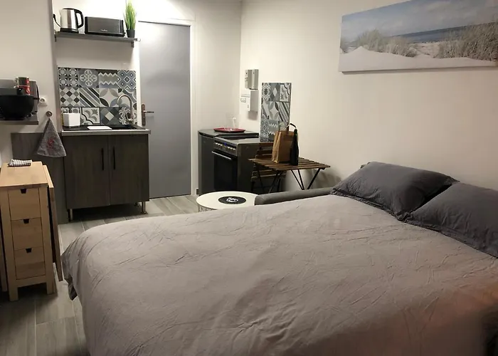 Studio A 50 M De La Mer Avec Parking Privatif