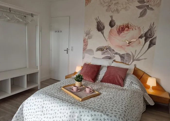 Le Cocon d'Estelle Grand Studio vue mer, 30m de la plage