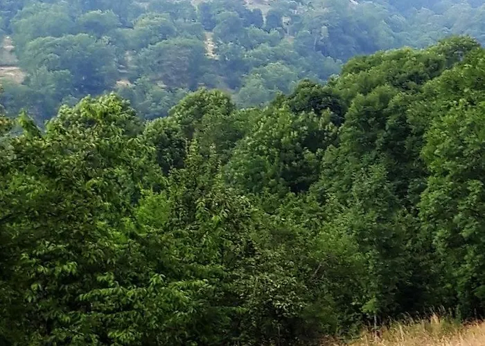 La Grange Loudervielle Louron Pyrenees