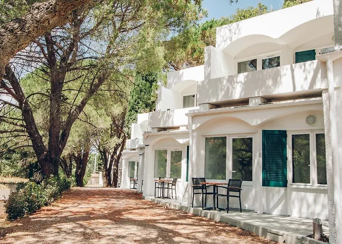  Capsud, La Garde-Freinet