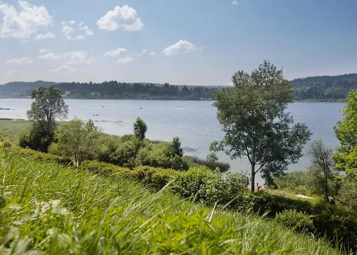 Appartement Vue Lac