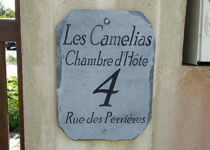 Les Camelias