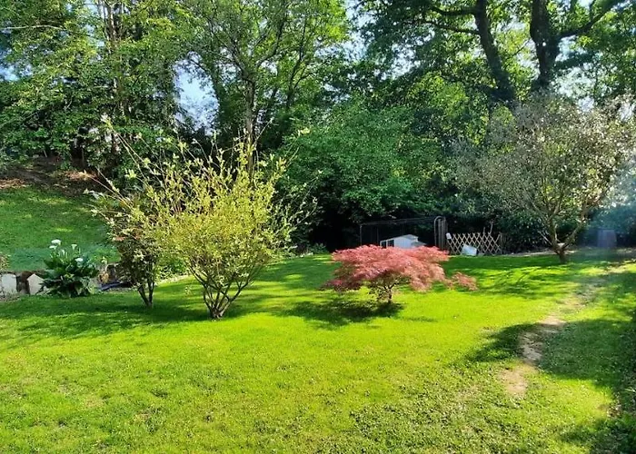 Parabisu Ttikia "Petit Paradis"