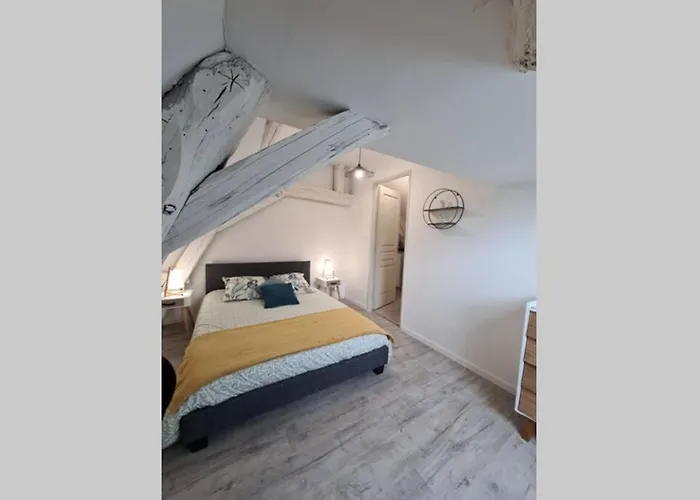 Centre Ville 3 Pieces Envoutant Sous Combles 40M²