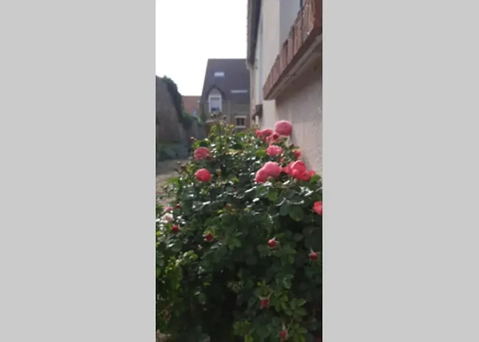 Maison de vacances: La Cour Pavée