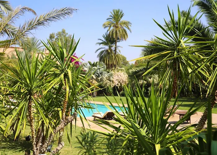 Hôtel Ping Pong: Villa Le Perroquet Bleu
