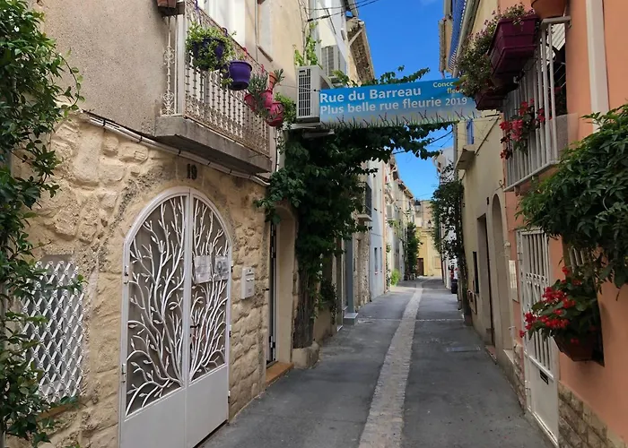 chez le tit