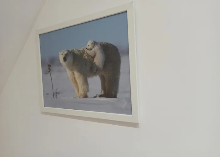 A 4 min du Zoo de Beauval La Maison à Partager Ch4 2ème étage