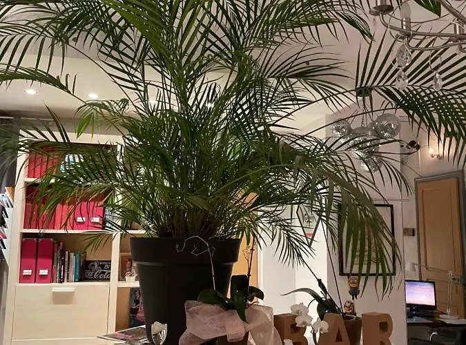 chez la Berthe Colmé
