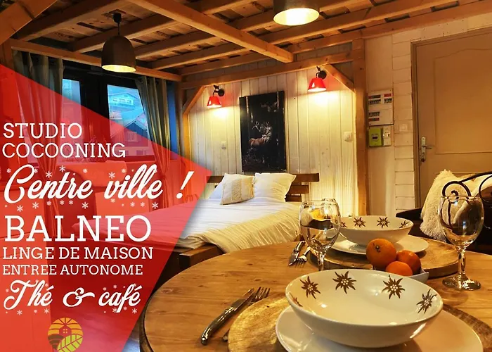 Studio Cocooning Cledicihome Parking Prive Centre Ville