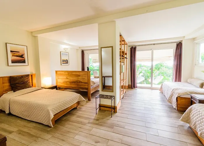 Funky Monkey Lodge