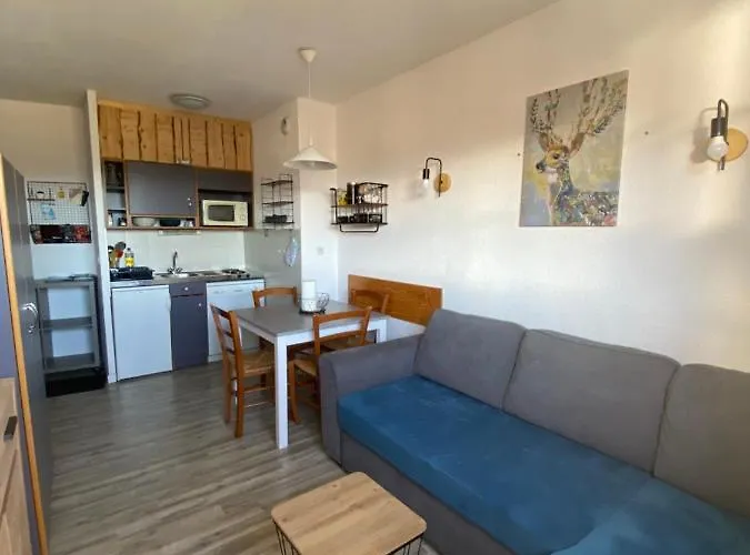 Appartement Aux Pieds Des Pistes !