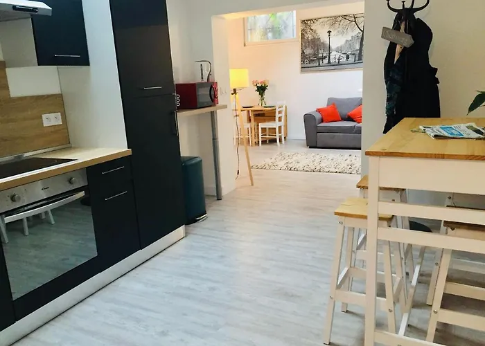 Chaleureux et spacieux appartement de centre-ville - Lit King Size - NETFLIX