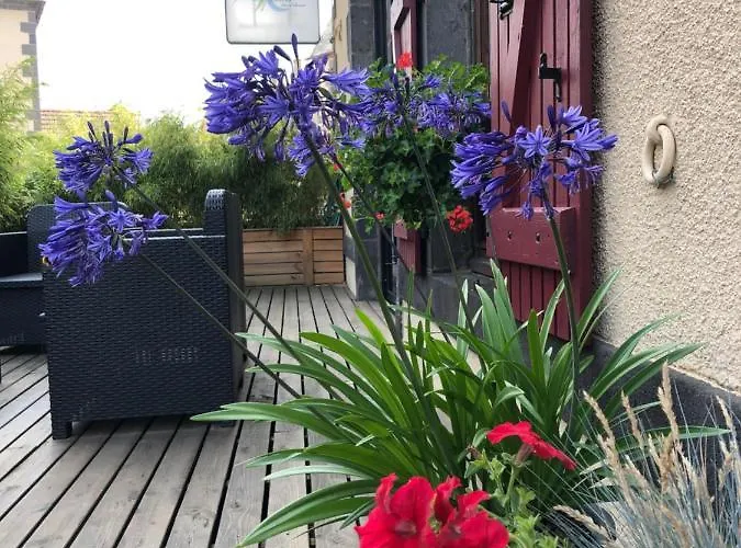 A l'Aube des Volcans