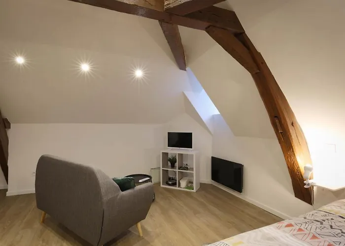 Studio neuf cosy La flèche