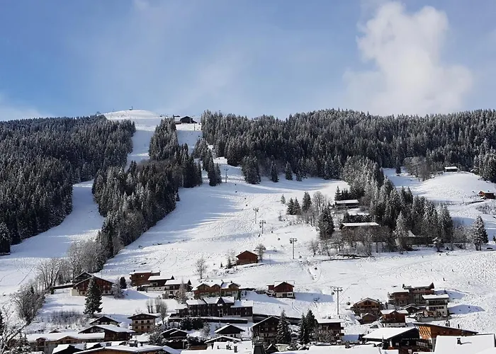 Chalet La Cachette les Gets