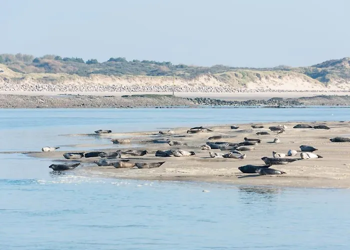 Osanjes Berck Plage